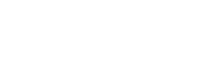 логотип web singularis-белый